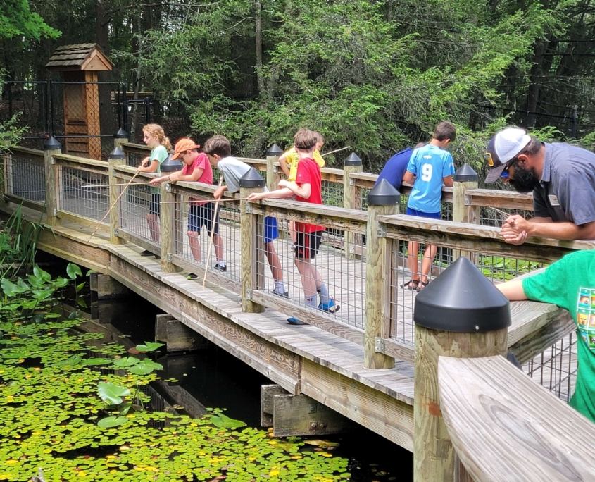 Park Overview - Bays Mountain Park and Planetarium