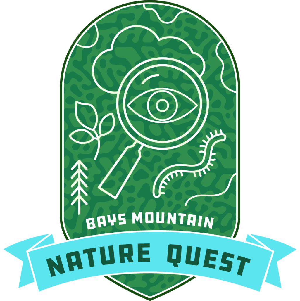 Nature Quest Bays Mountain Park and